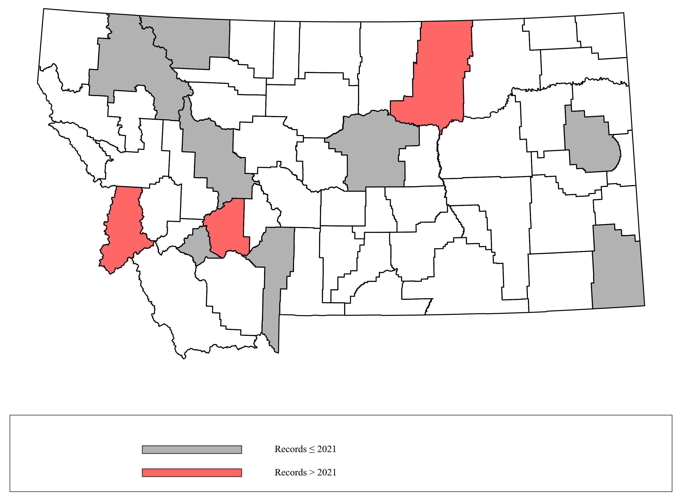 Megachile campanulae Megachile campanulae