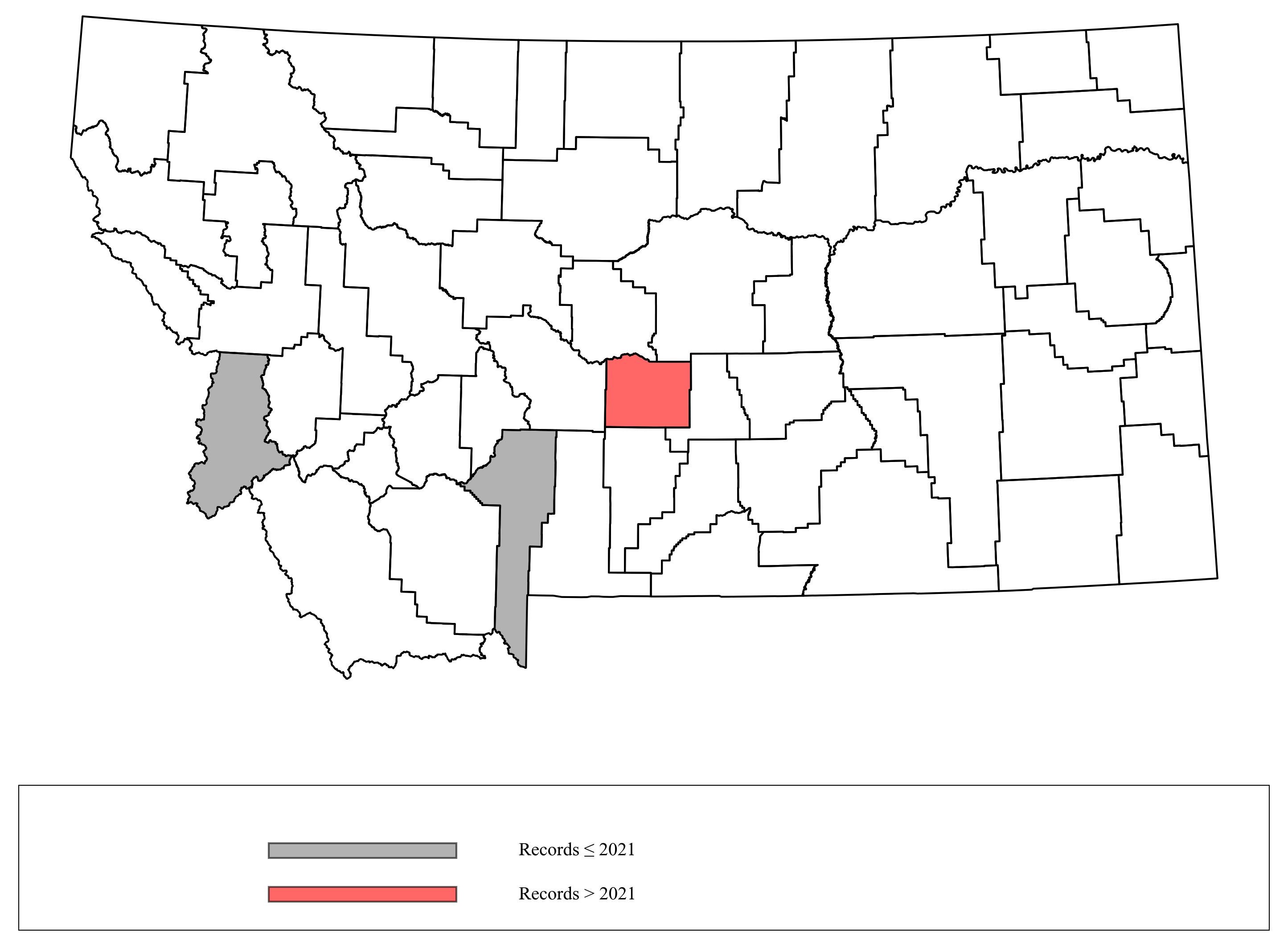 Megachile_centuncularis Megachile_centuncularis