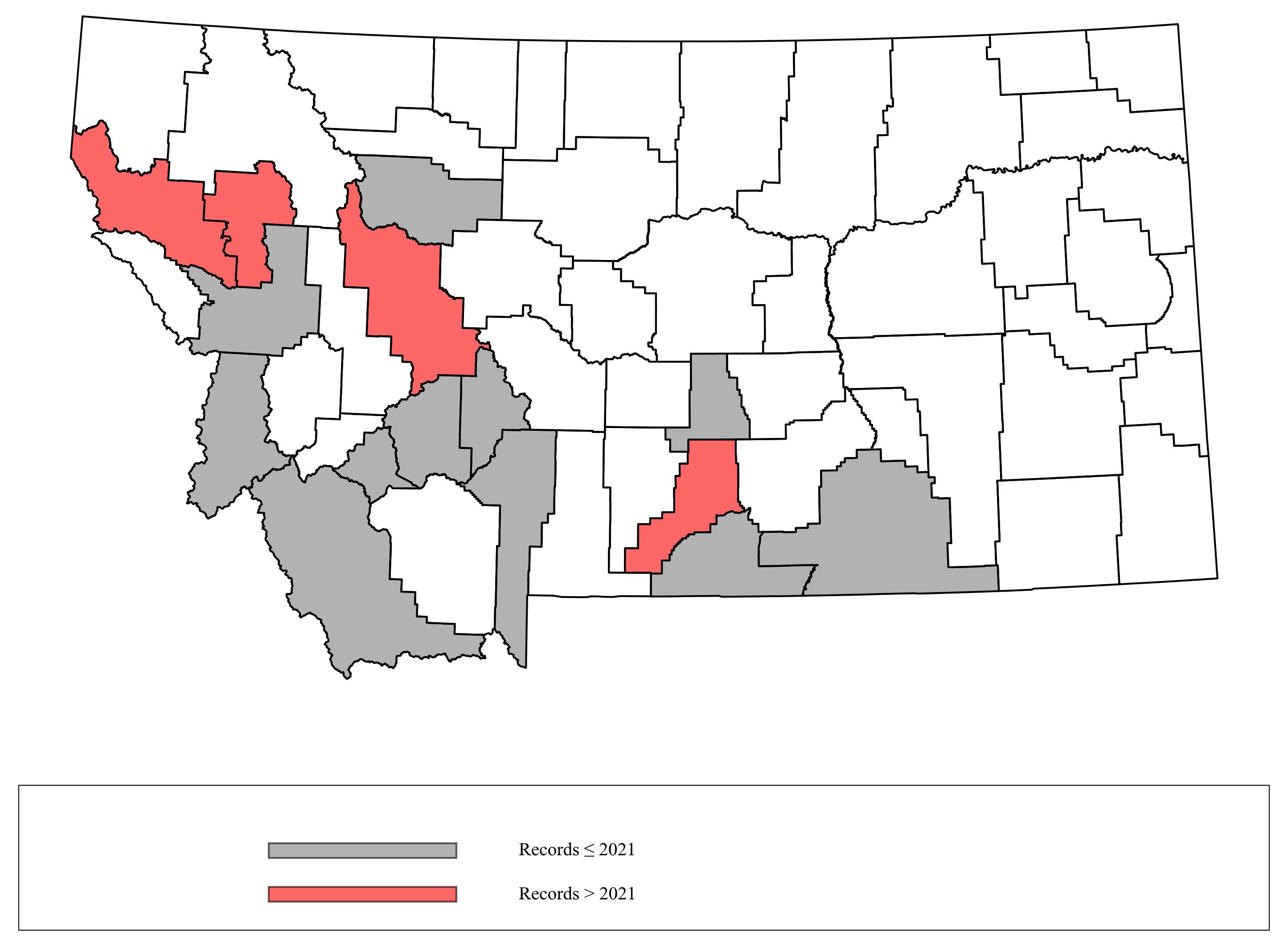 Megachile_coquilletti Megachile_coquilletti