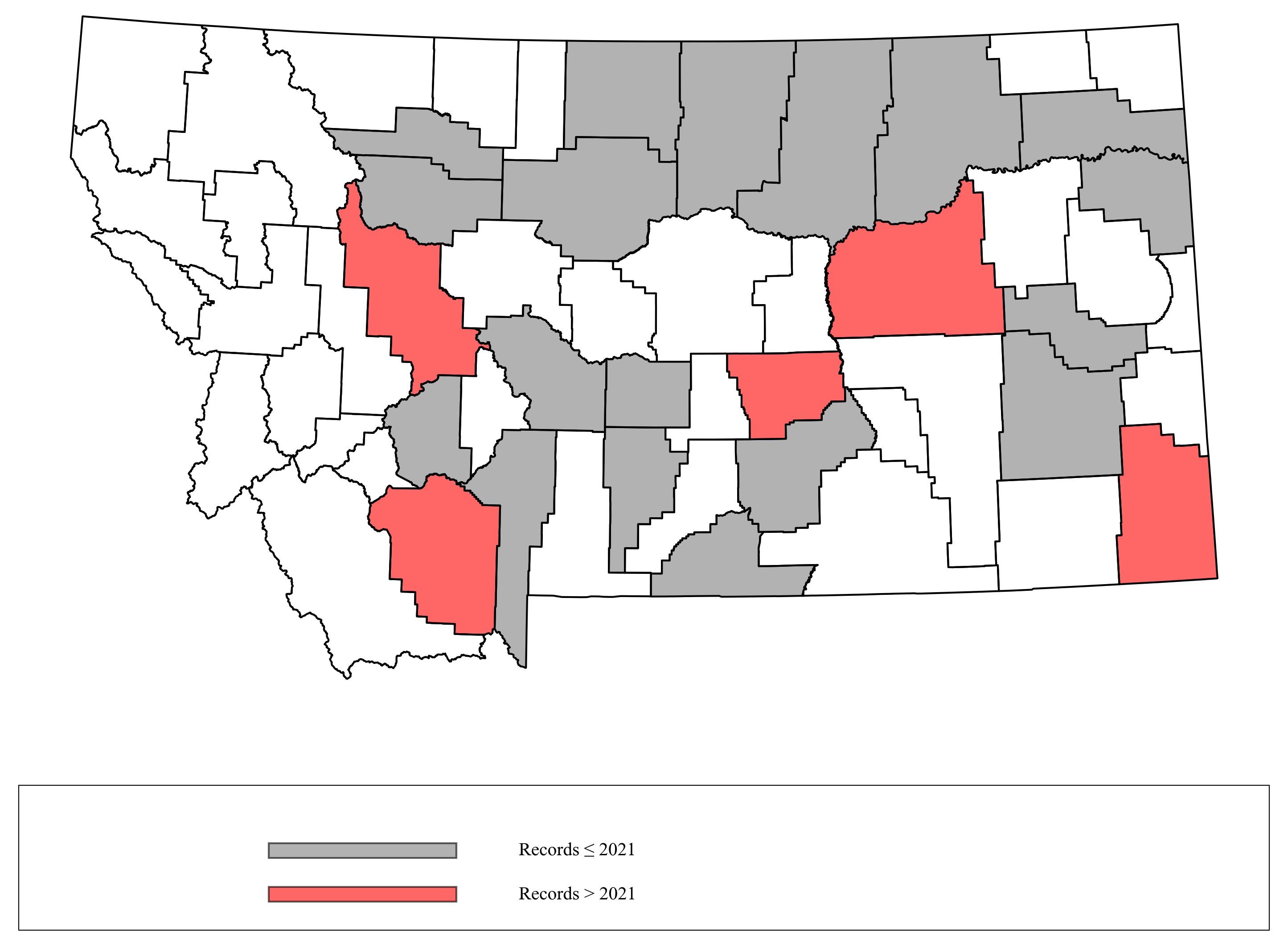 Megachile_dentitarsus Megachile_dentitarsus