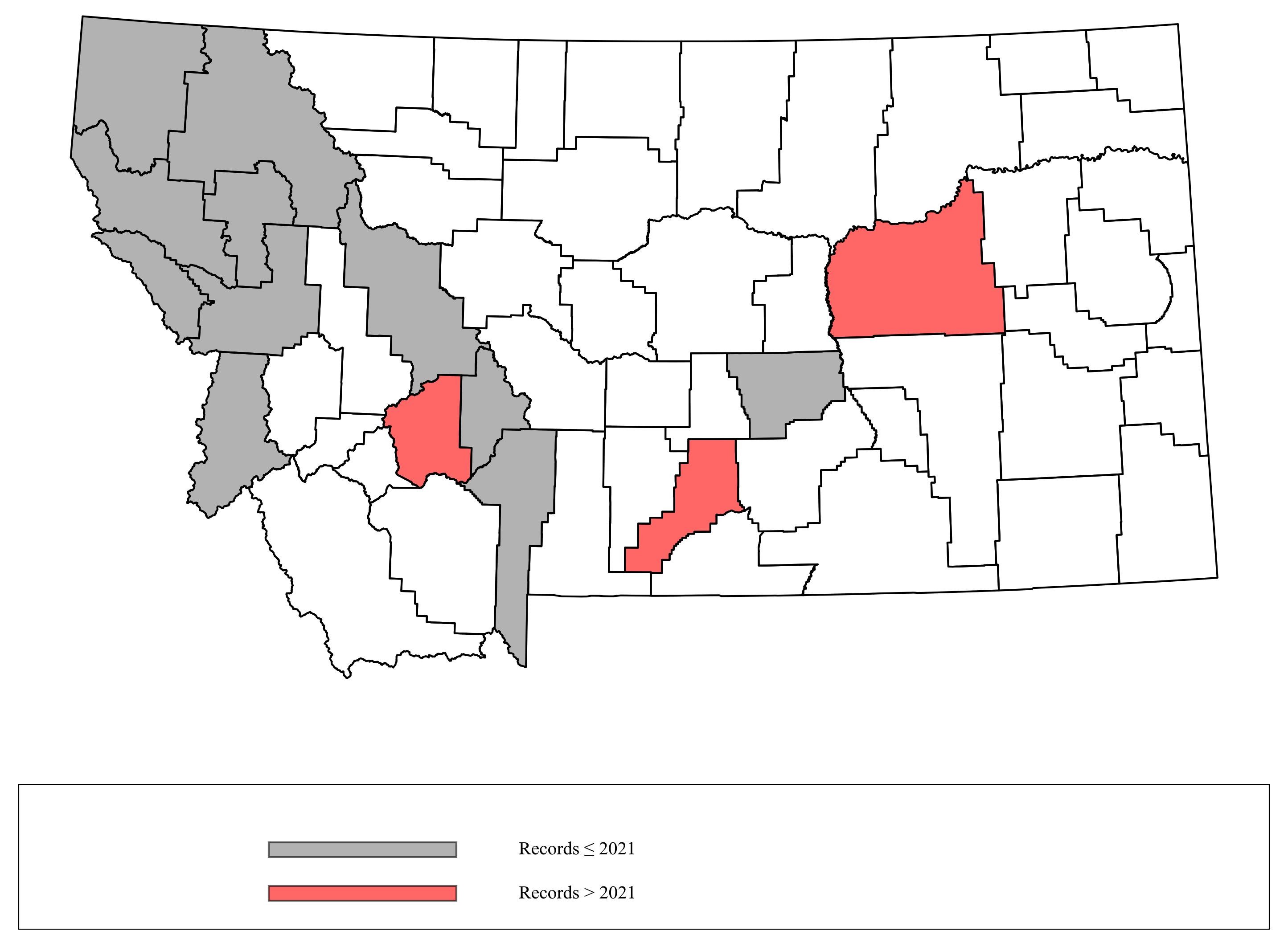 Megachile_fidelis Megachile_fidelis