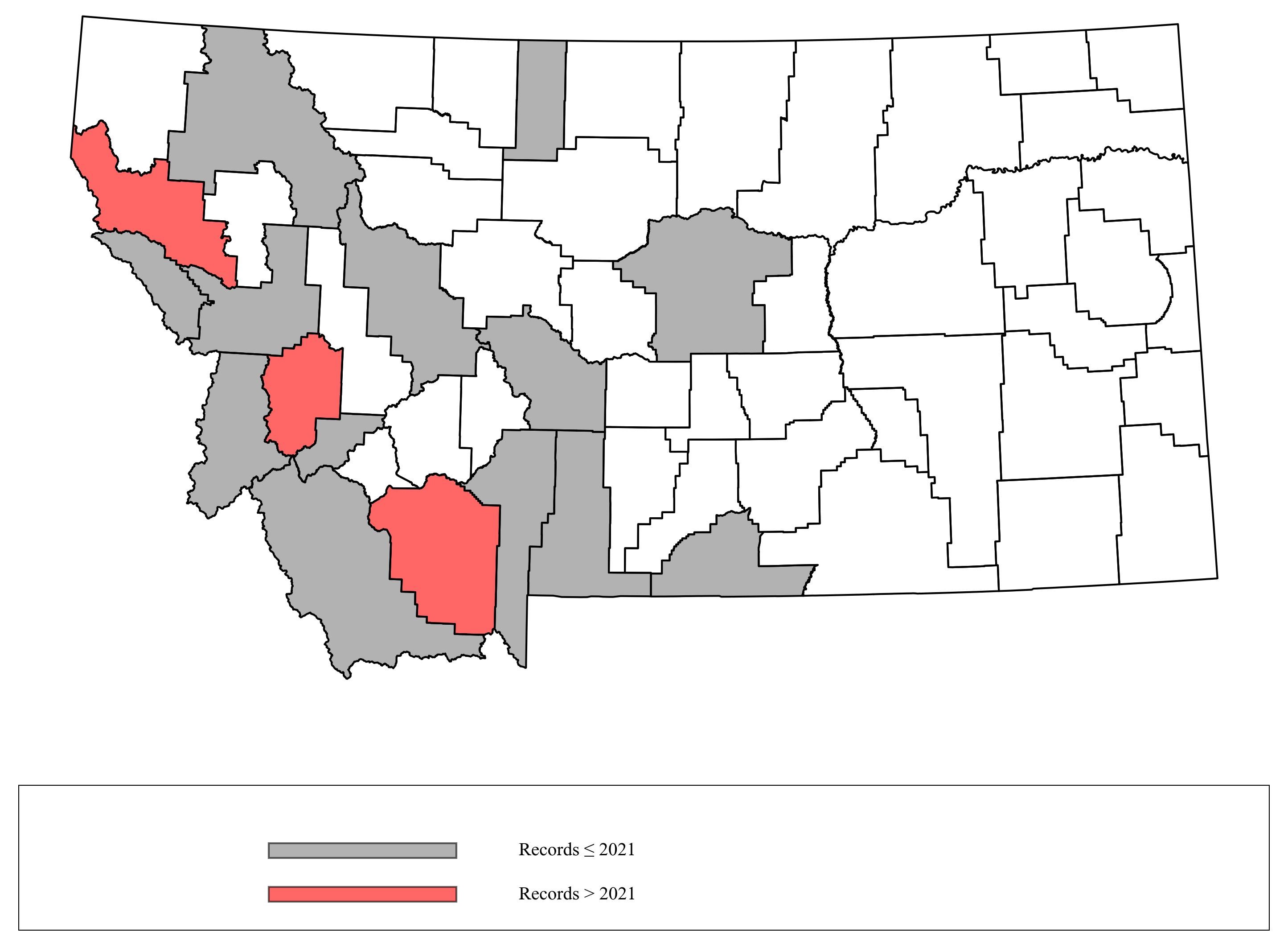 Megachile lapponica Megachile lapponica