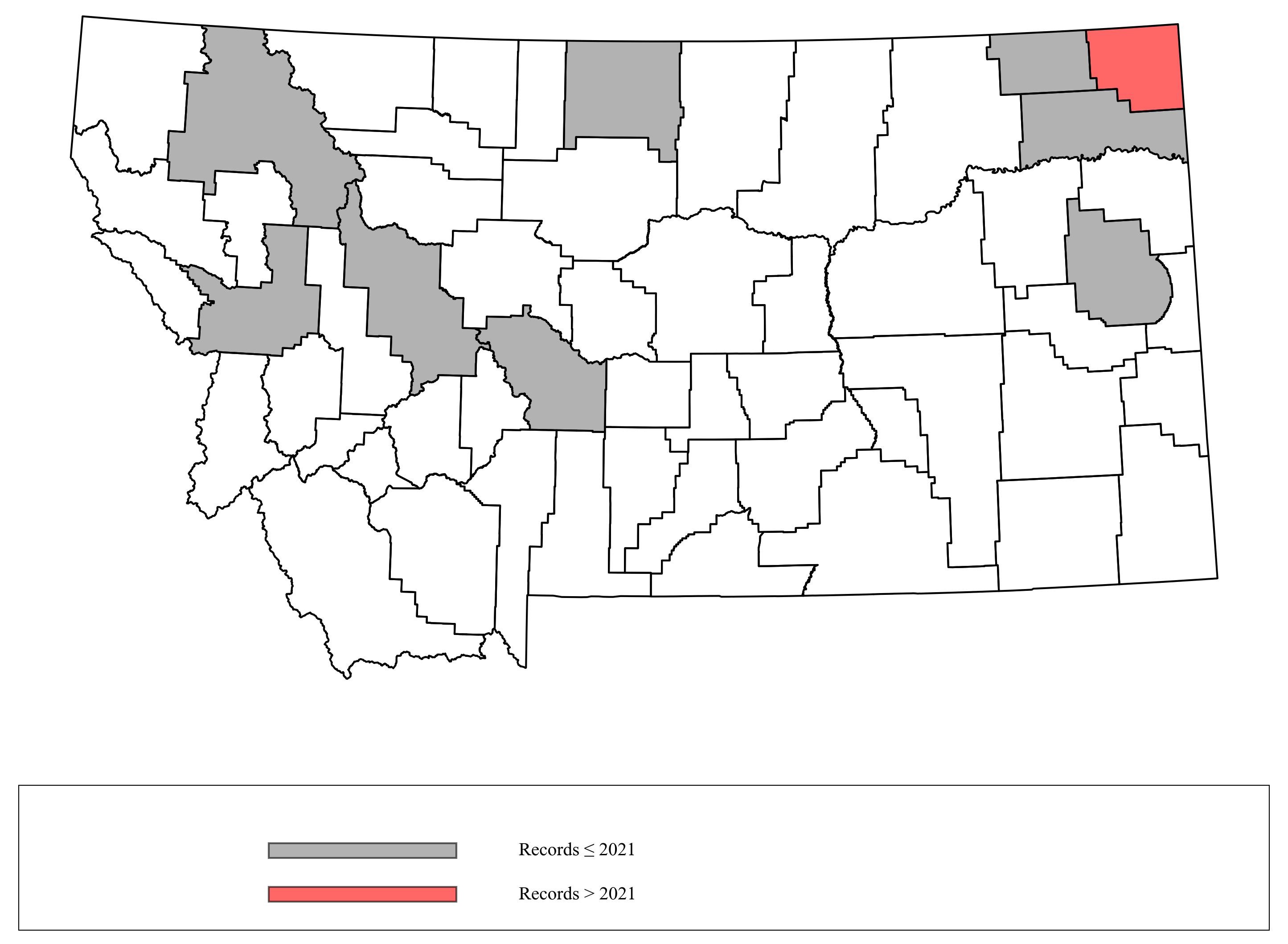 Megachile_latimanus Megachile_latimanus