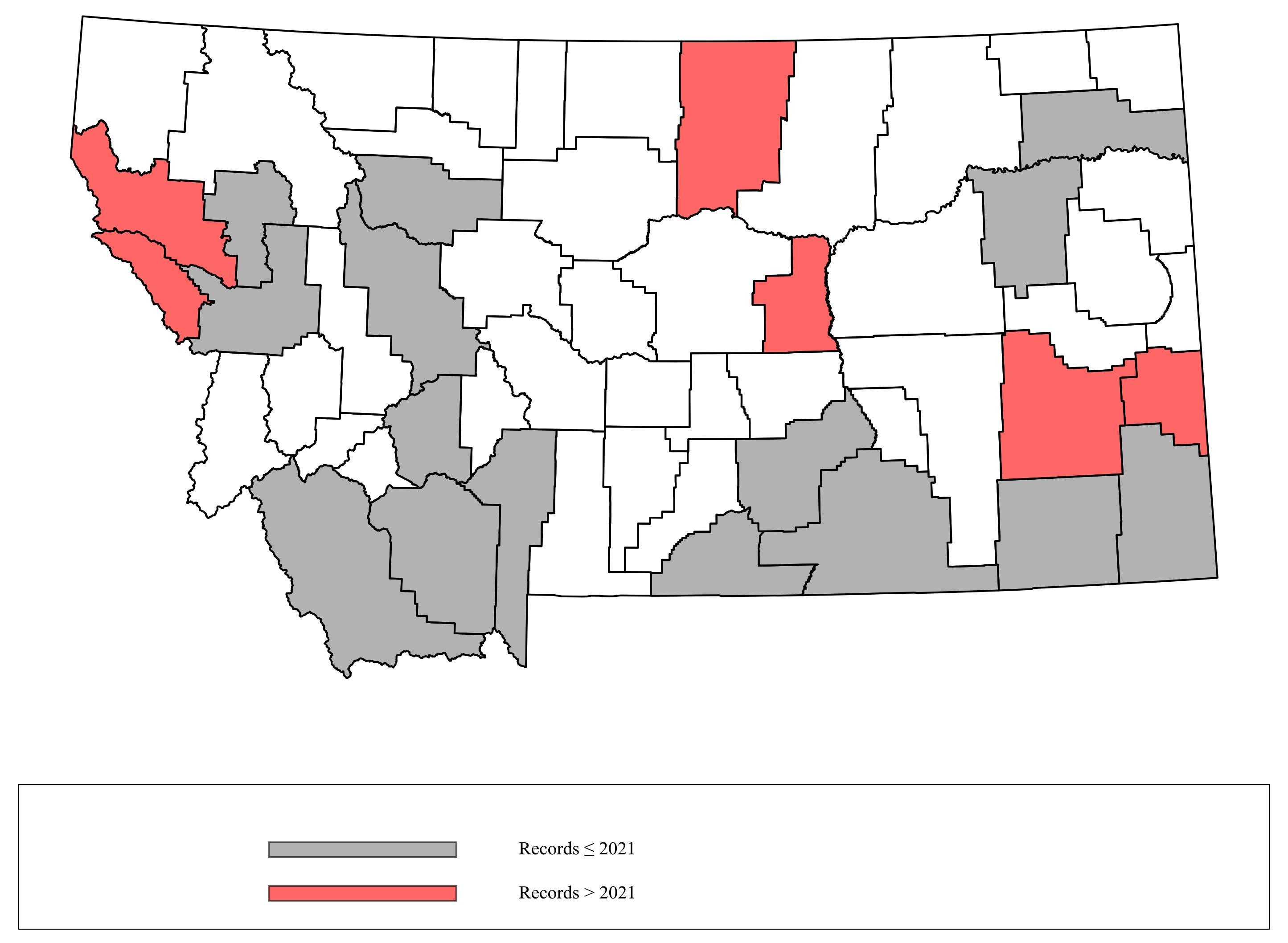 Megachile_lippiae Megachile_lippiae
