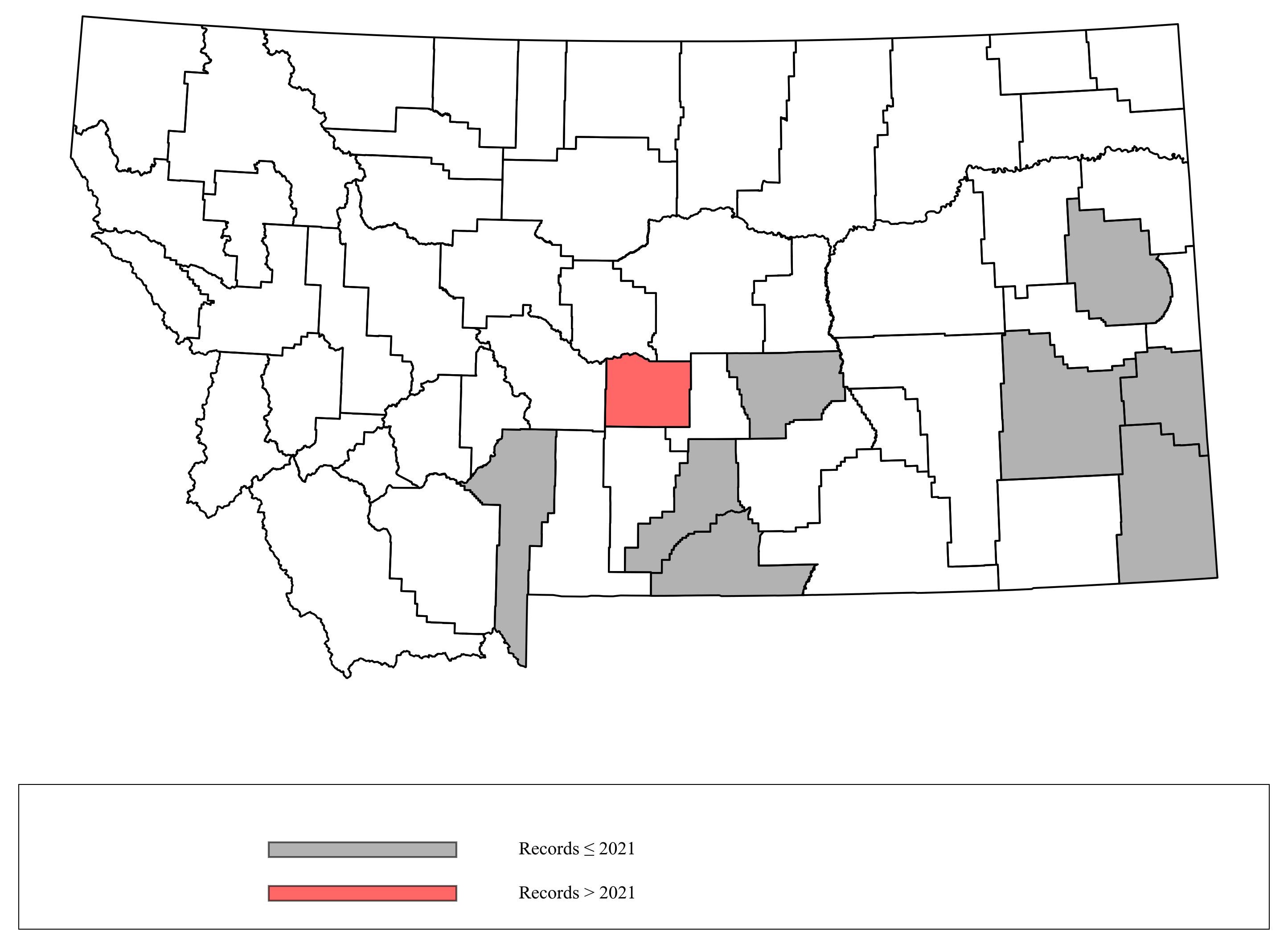Megachile_manifesta Megachile_manifesta
