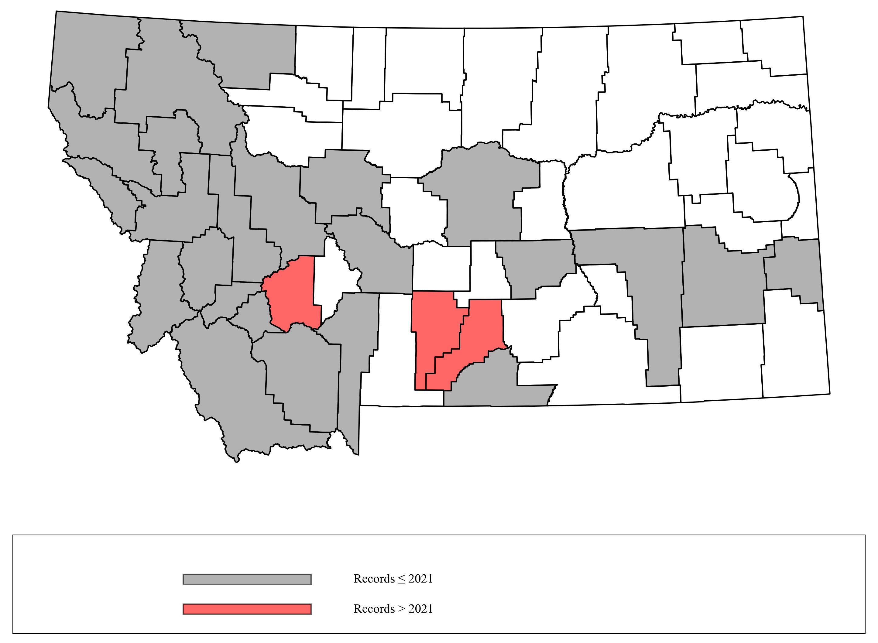 Megachile_montivaga Megachile_montivaga