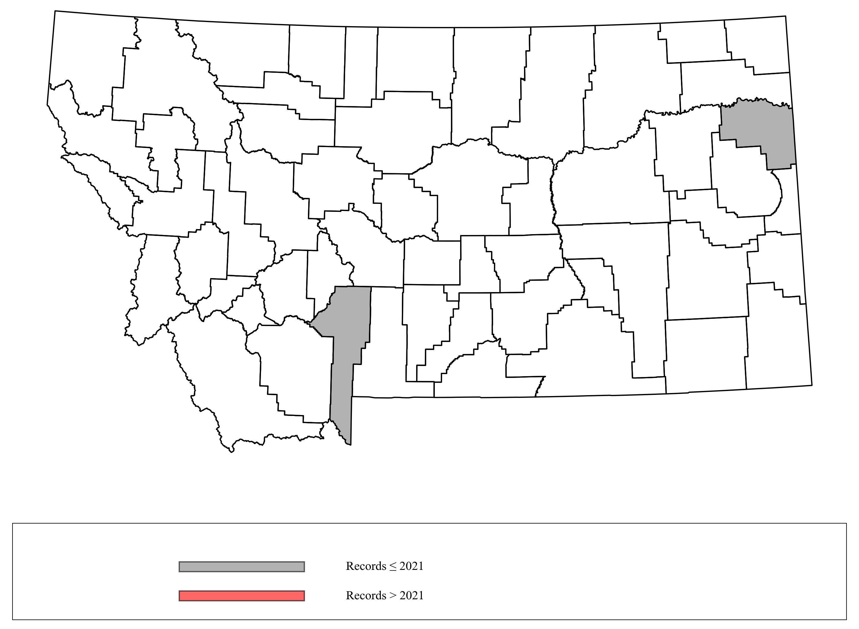 Megachile_nevadensis Megachile_nevadensis