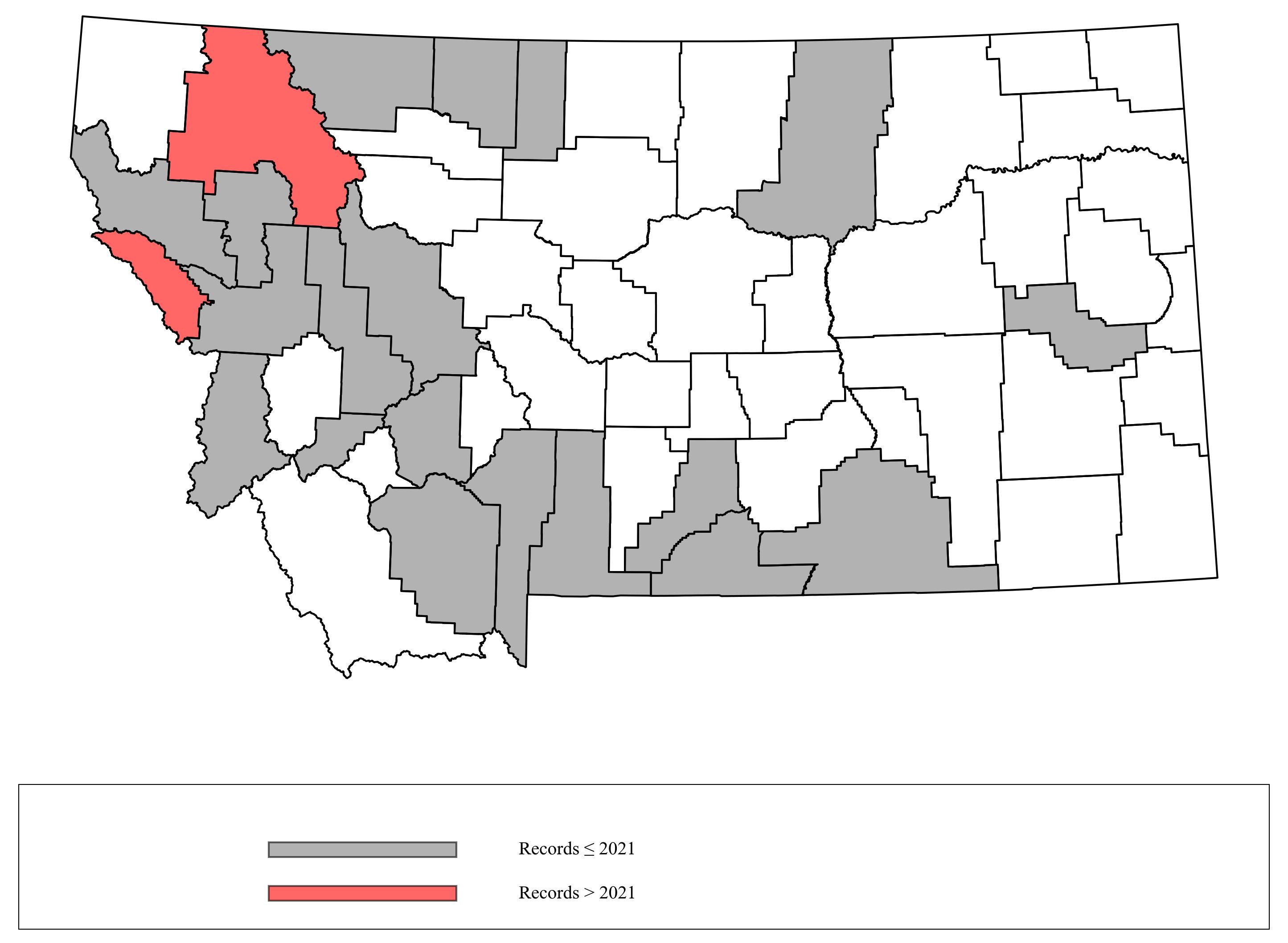 Megachile_onobrychidis Megachile_onobrychidis