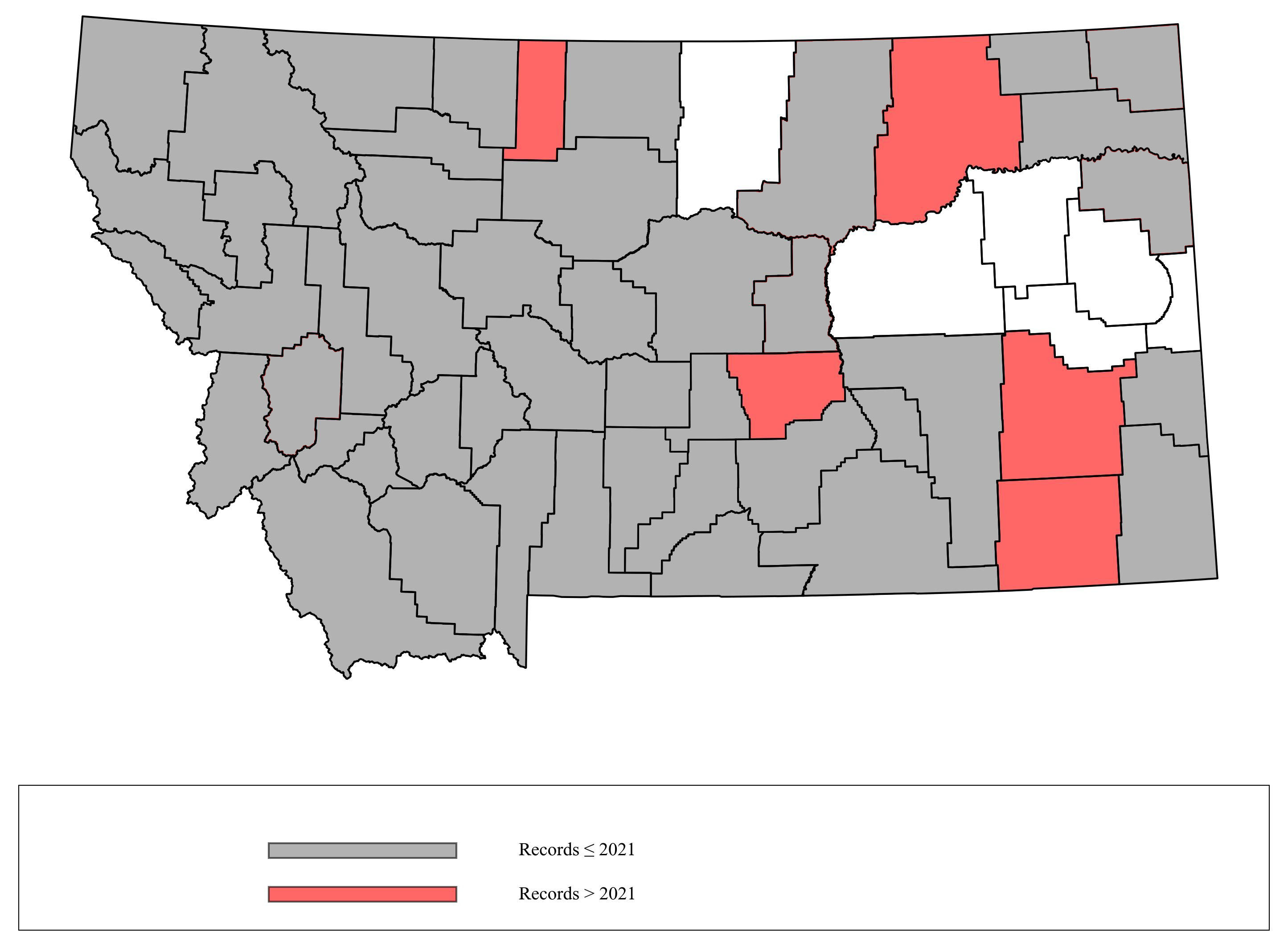 Megachile_perihirta Megachile_perihirta