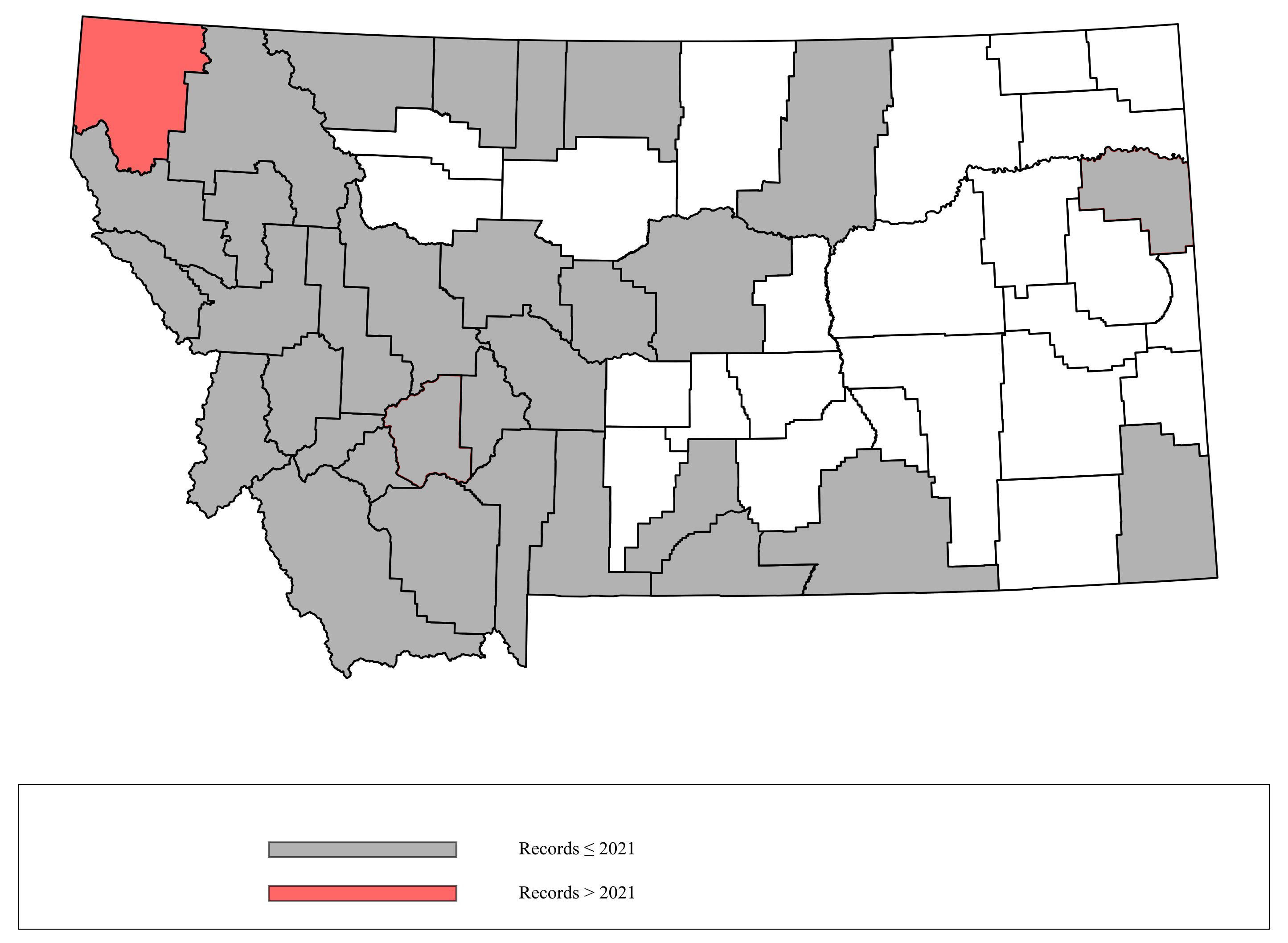 Megachile_relativa Megachile_relativa