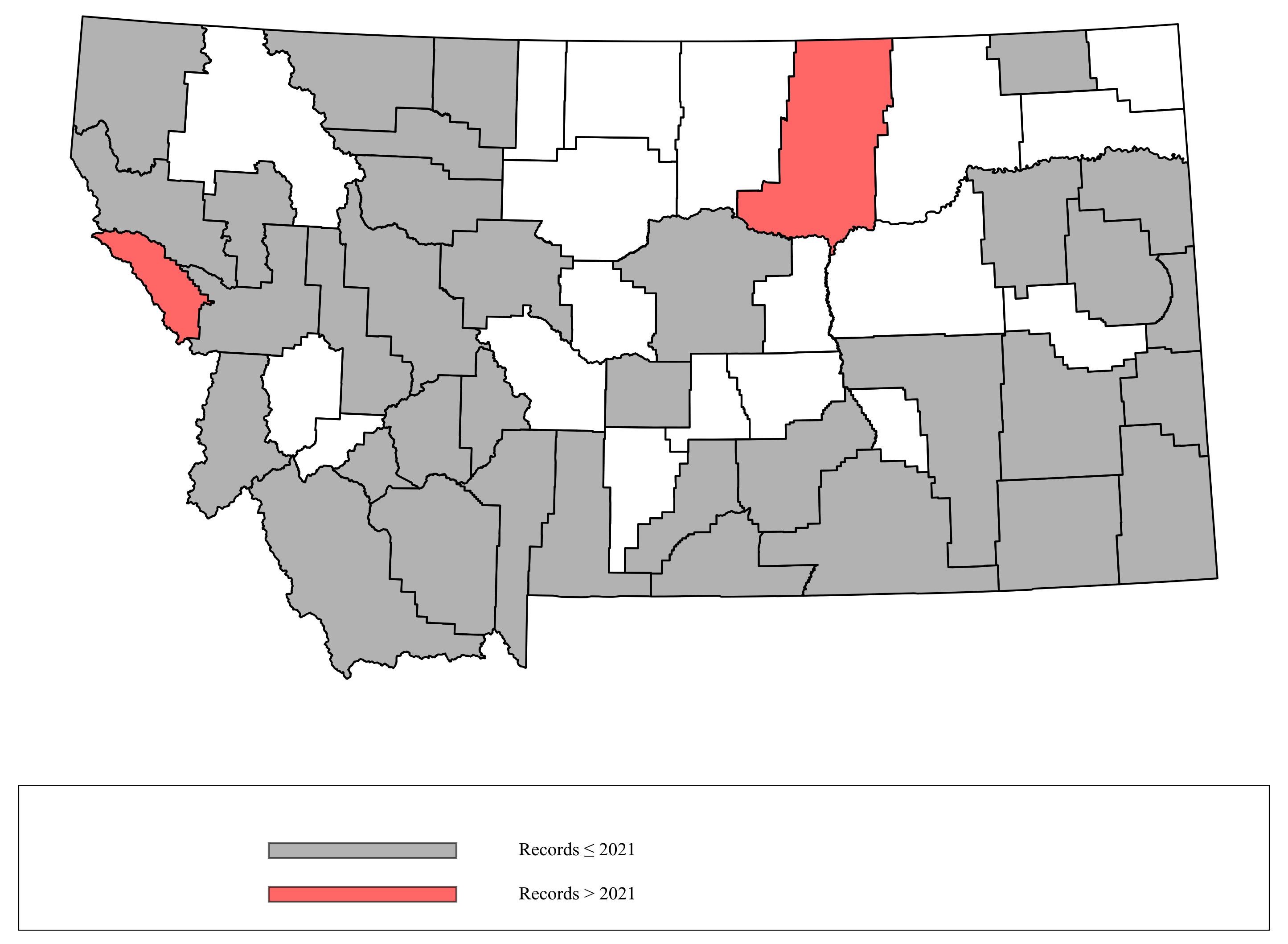 Megachile_rotundata Megachile_rotundata