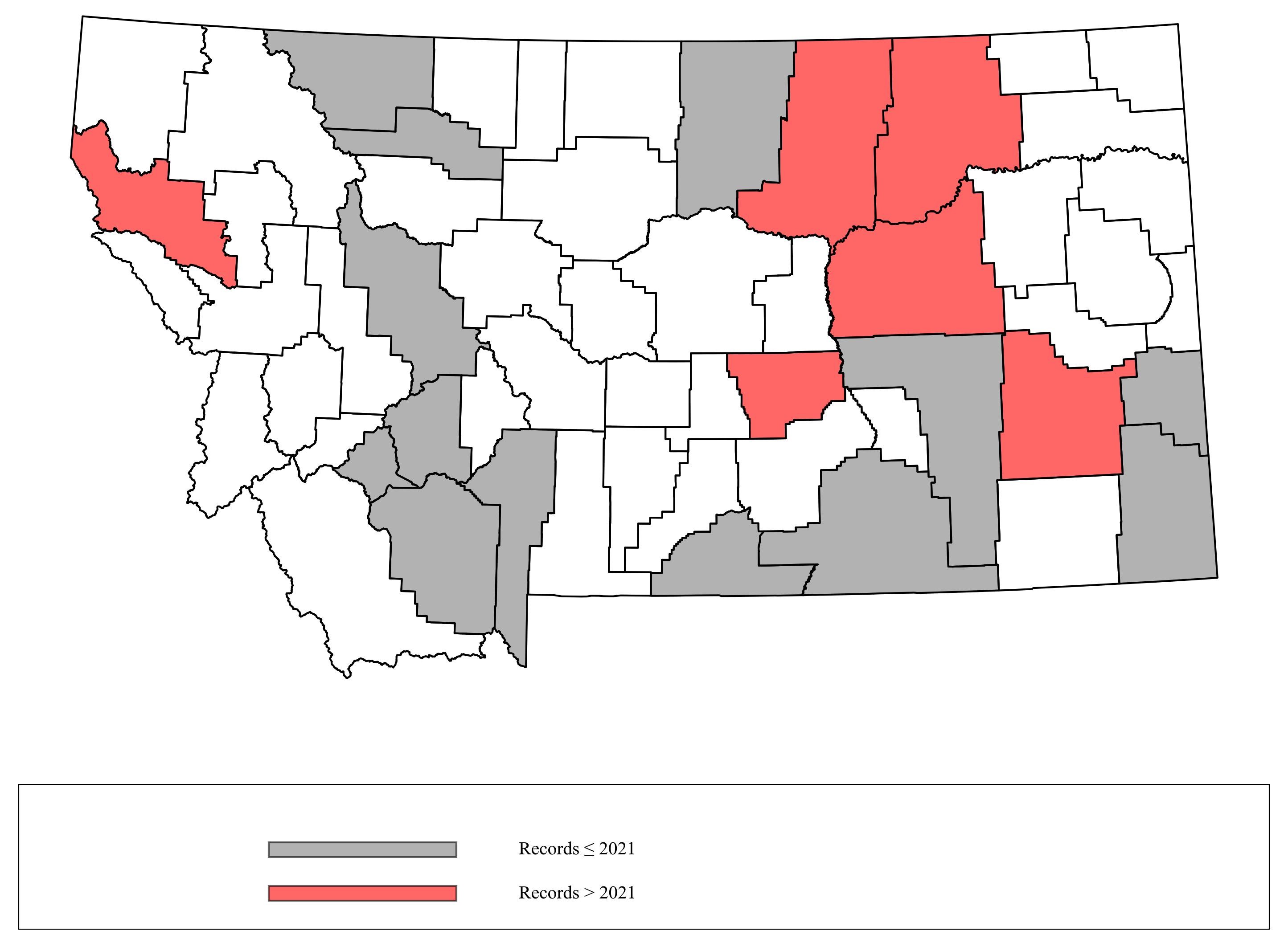 Megachile_texana Megachile_texana