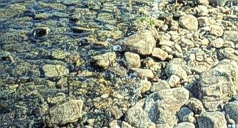 Yellowtail Afterbay Dam substrate