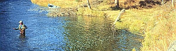 Cabin Creek River access 