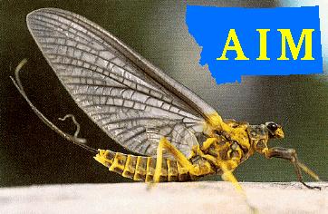 AIM