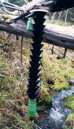 funnel trap