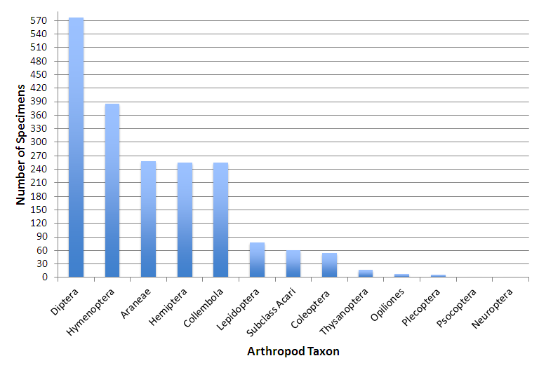 leaf and stem visitors bar chart