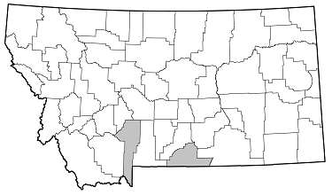 Evodinus lanhami distribution in Montana
