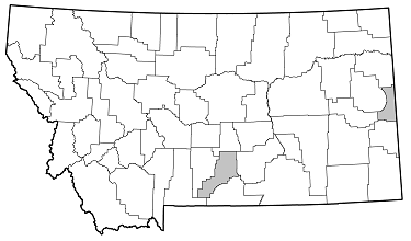 Mecas pergrata distribution in Montana