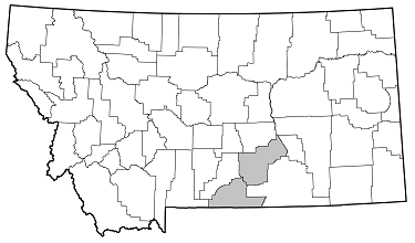 Megacyllene angulifera distribution in Montana