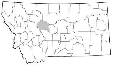 Neoclytus conjunctus distribution in Montana