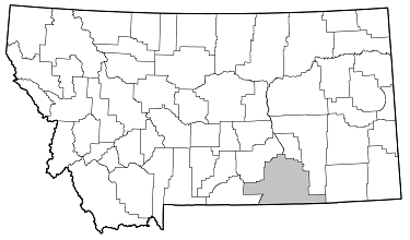 Ropalopus sanguinicollis distribution in Montana