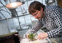 Justin Runyun using a collection system to capture airborne compounds released by plant in greenhouse
