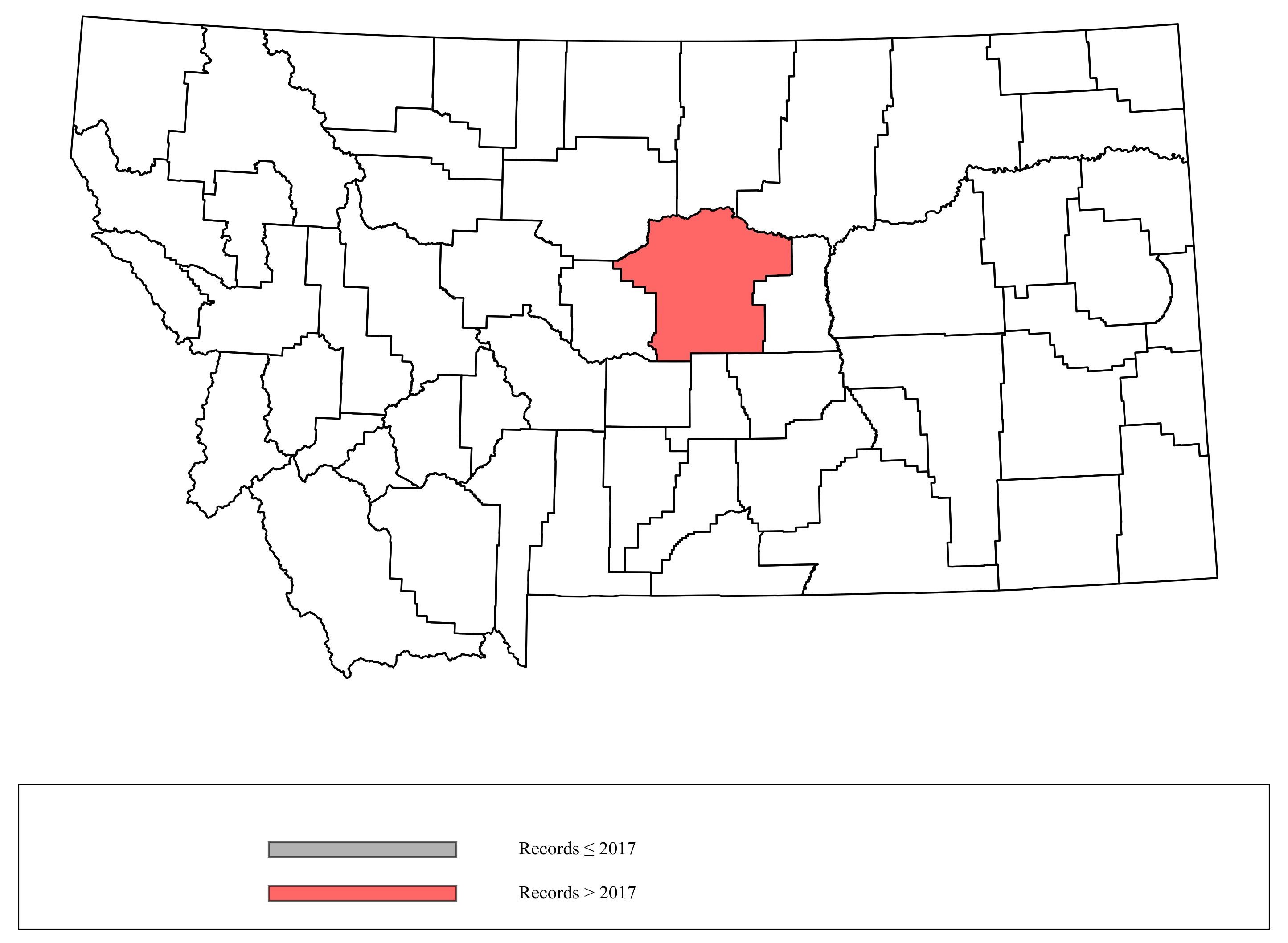 bombus_insularis  bombus_citrinus